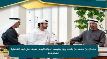 حمدان بن محمد بن راشد يزور رئيس الدولة اليوم: تعرف على أبرز القضايا المطروحة